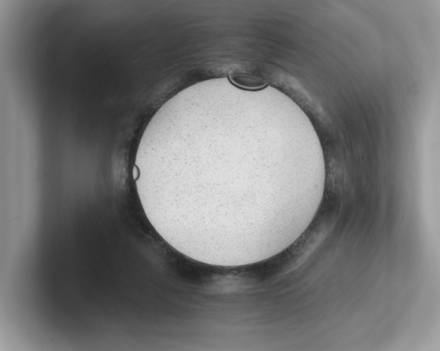 X0000100940259200807221203