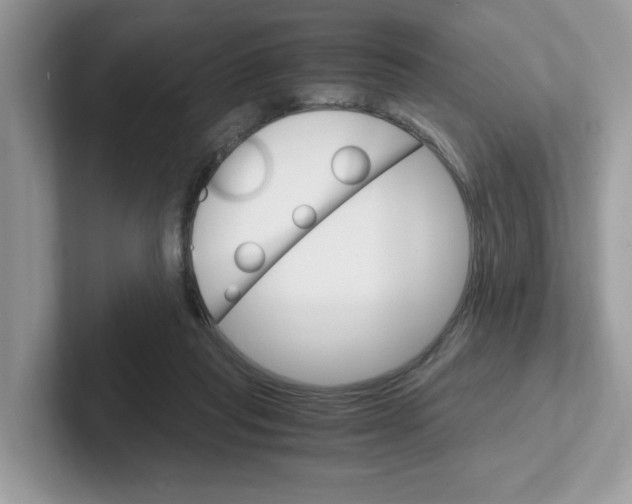 X0000100940261200807221203