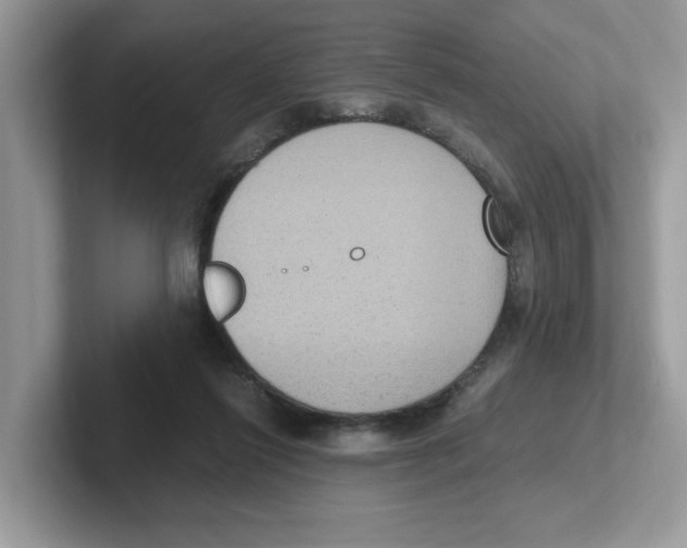 X0000100940262200807221203