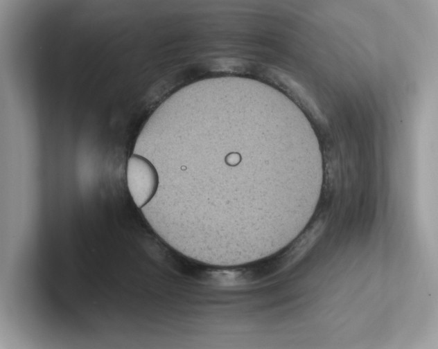 X0000100940265200807221203