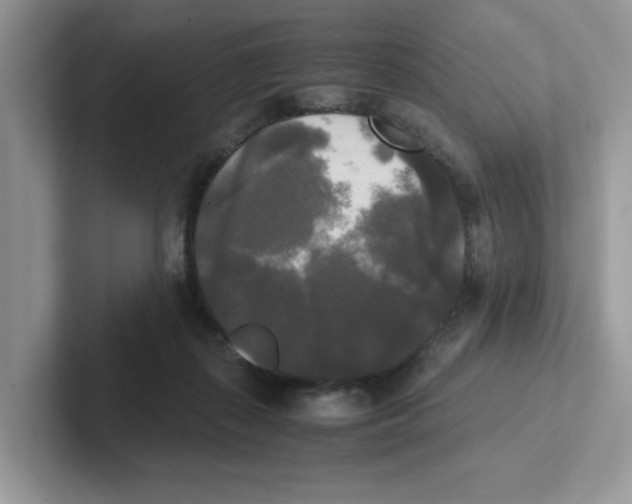 X0000100940267200807221203