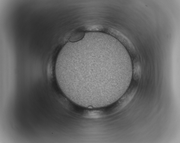 X0000100940268200807221203