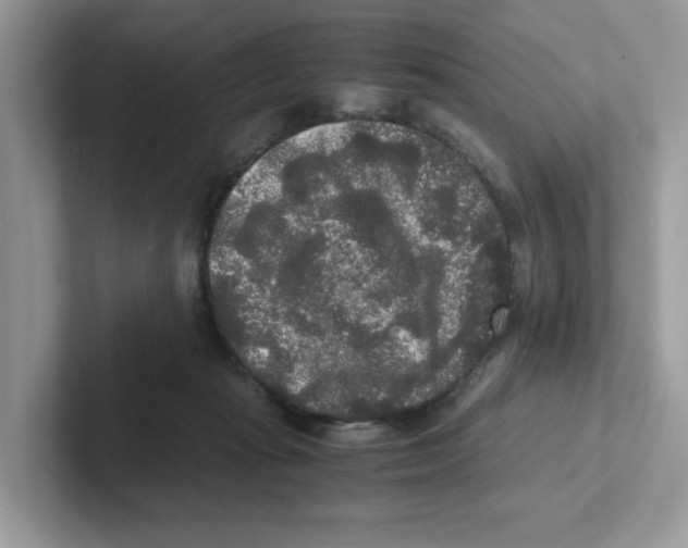 X0000100940269200807221203