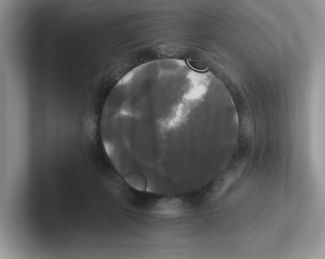 X0000100940271200807221203