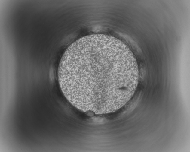 X0000100940272200807221203