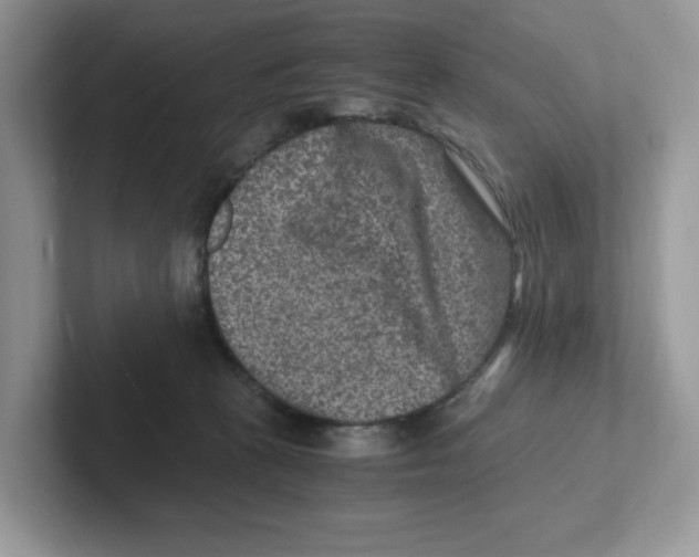 X0000100940273200807221203