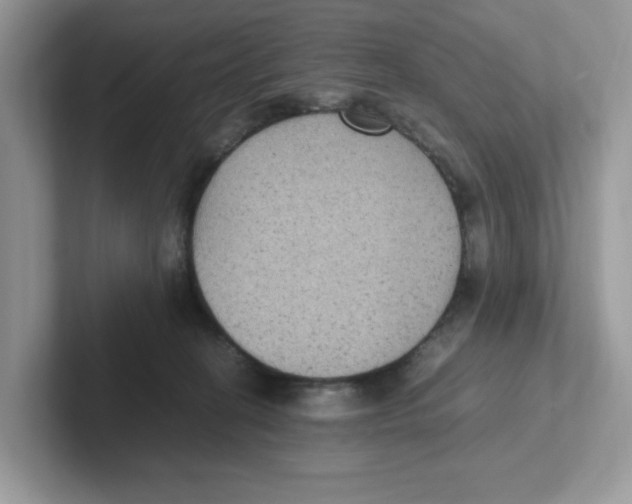 X0000100940274200807221203