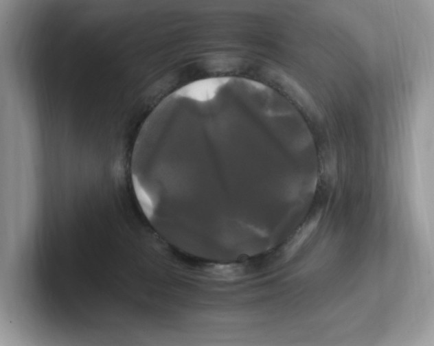 X0000100940277200807221204