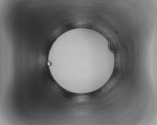 X0000100940278200807221204