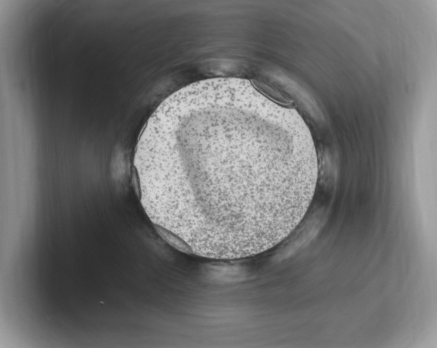 X0000100940284200807221204