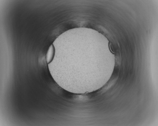 X0000100940286200807221204