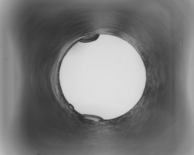 X0000100940289200807221203