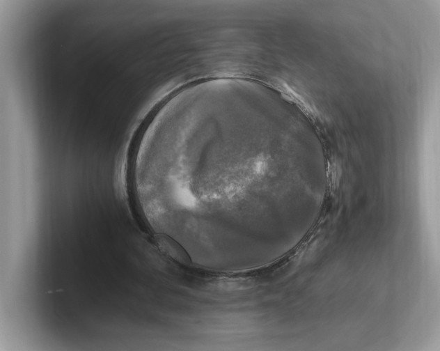 X0000100940292200807221203