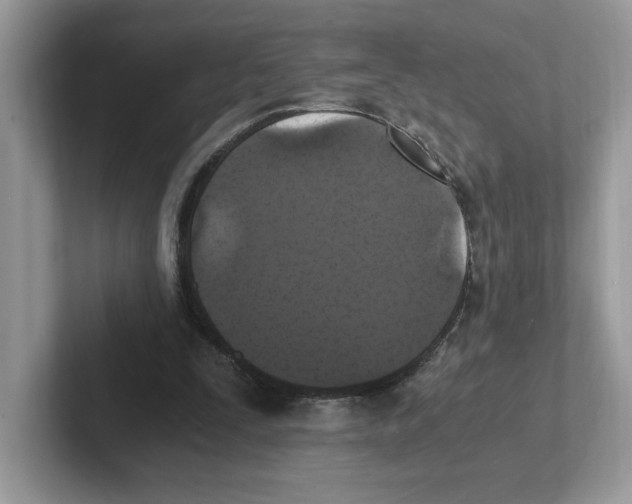 X0000100940295200807221203