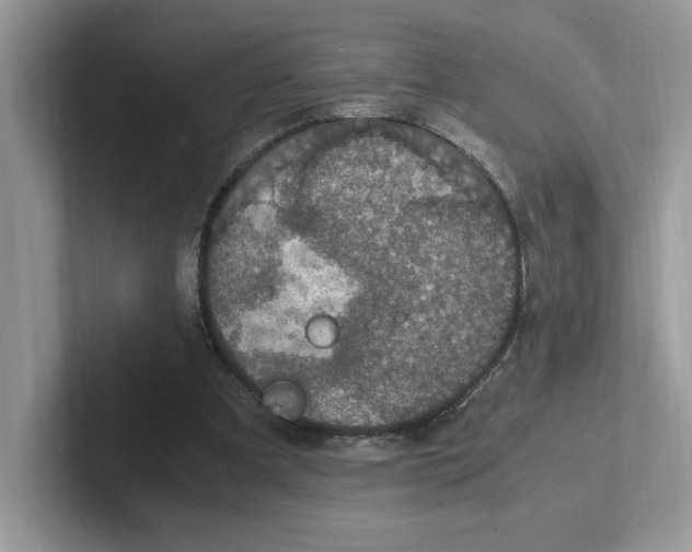 X0000100940297200807221203