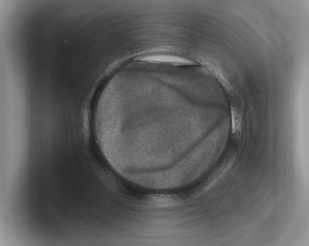 X0000100940300200807221203