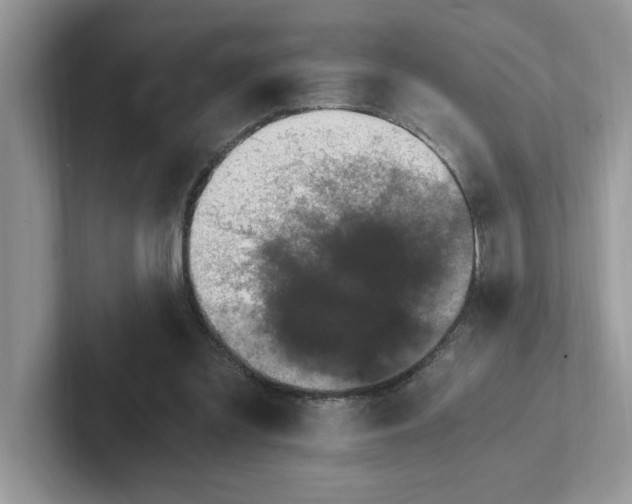 X0000100940301200807221203