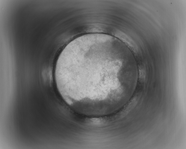 X0000100940302200807221203