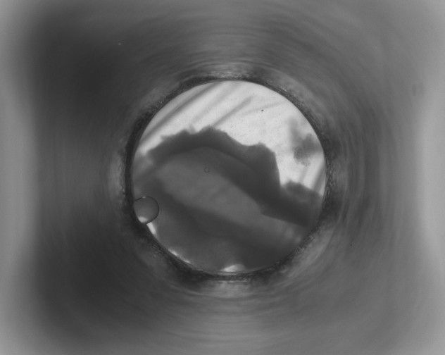 X0000100940303200807221203