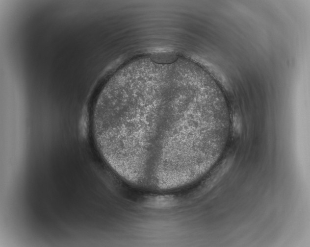 X0000100940304200807221203