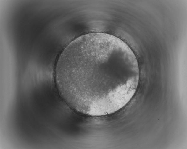 X0000100940305200807221203