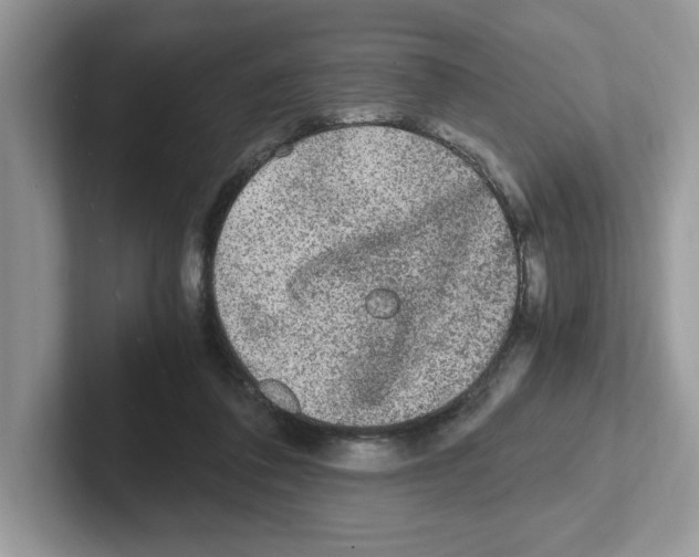 X0000100940308200807221203