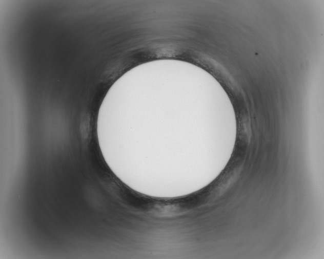 X0000100940311200807221203