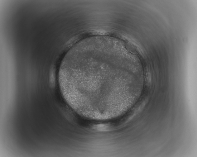 X0000100940312200807221203