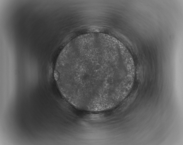 X0000100940314200807221203