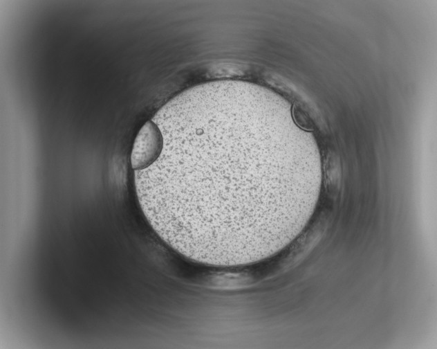 X0000100940315200807221203