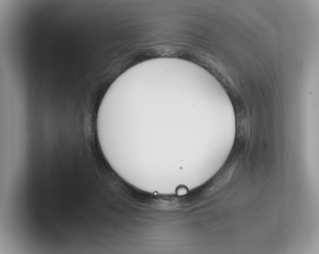 X0000100940317200807221203