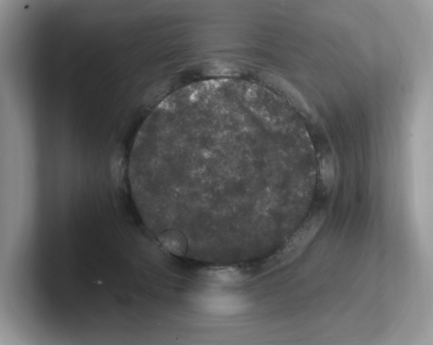 X0000100940322200807221203