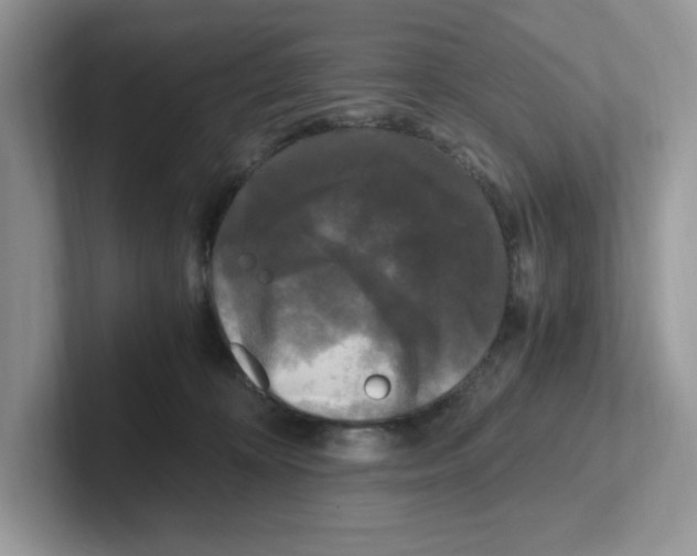 X0000100940324200807221203