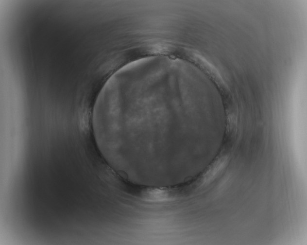 X0000100940325200807221203