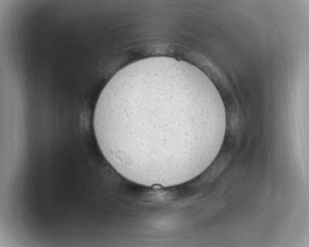 X0000100940326200807221203