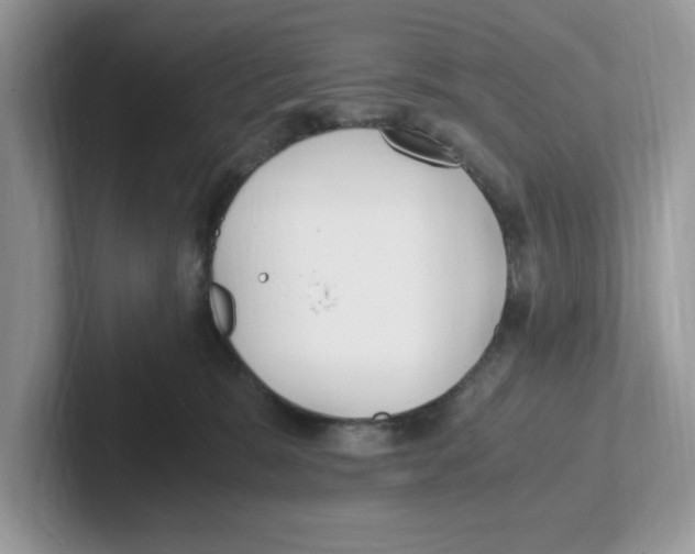 X0000100940327200807221203