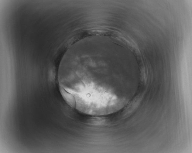 X0000100940328200807221203