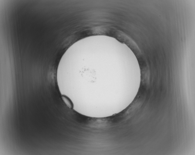 X0000100940329200807221203