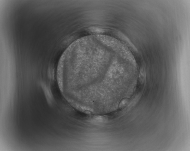 X0000100940330200807221202