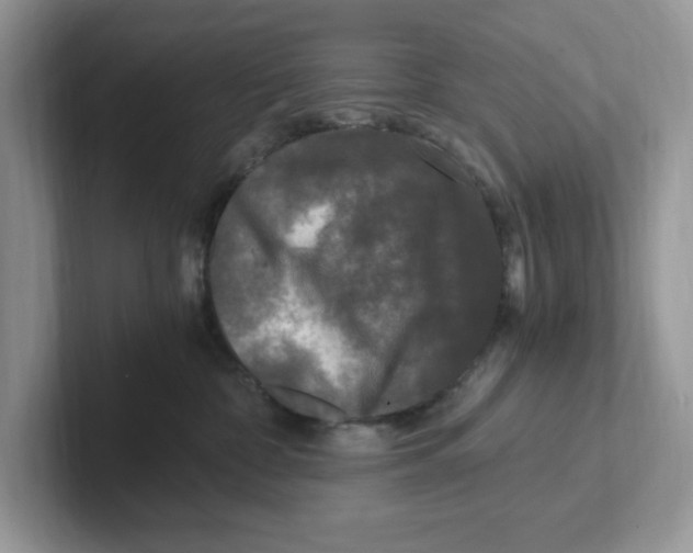 X0000100940332200807221202