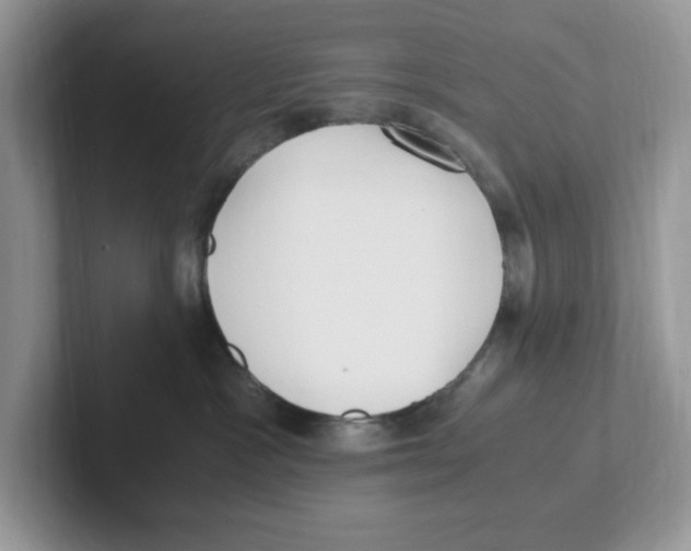 X0000100940333200807221202