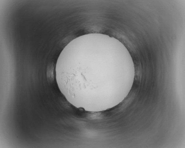 X0000100940334200807221202