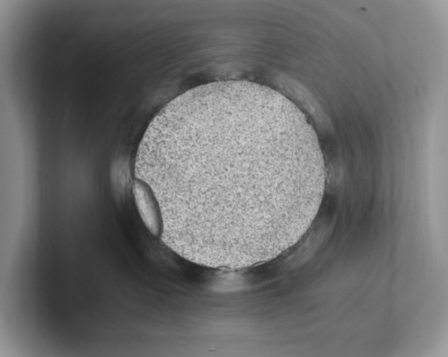 X0000100940335200807221202