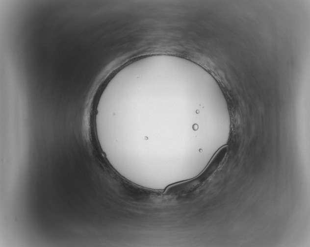 X0000100940340200807221202