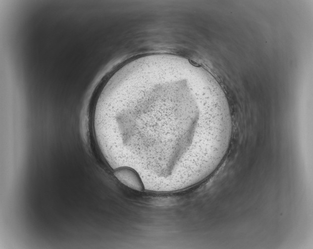 X0000100940342200807221202