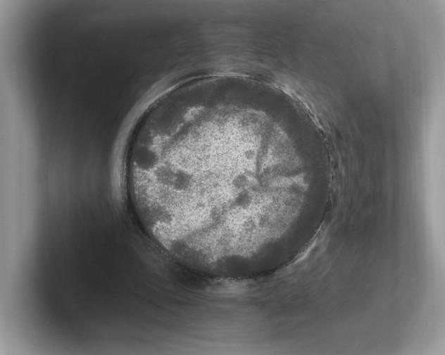 X0000100940343200807221202