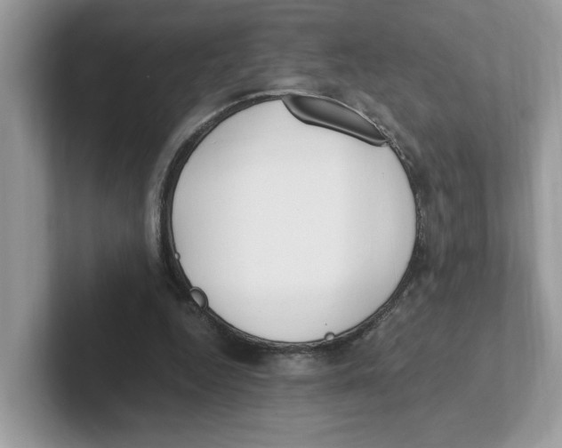 X0000100940344200807221202