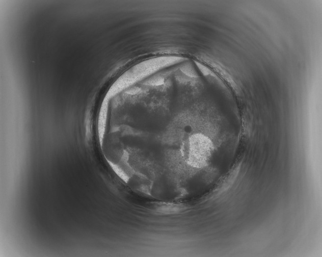 X0000100940347200807221202