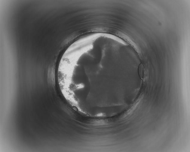 X0000100940349200807221202