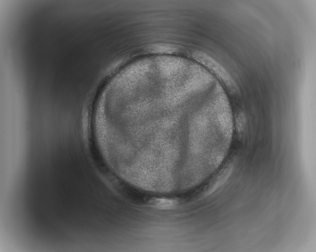 X0000100940352200807221202